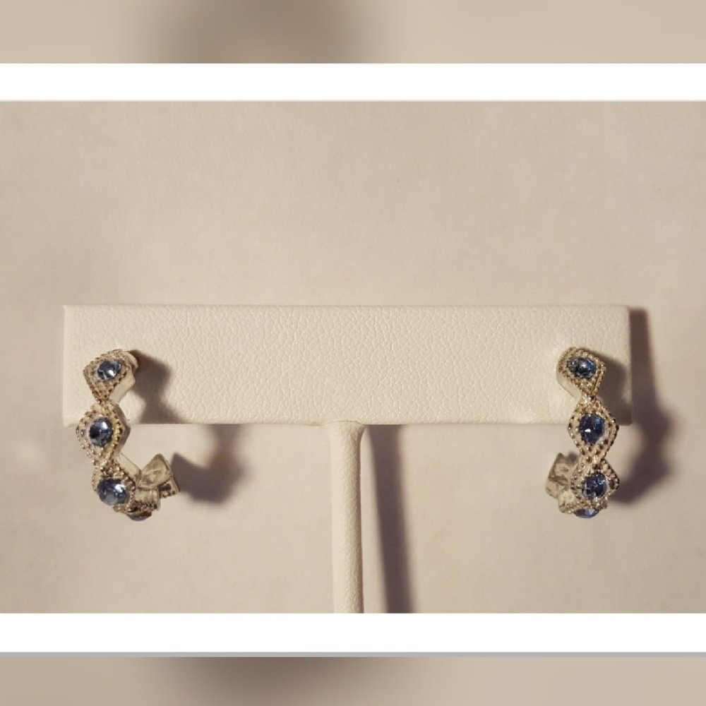 ••NEW•• Silvertone Blue Earrings
